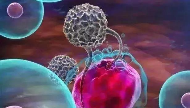 干细胞与免疫细胞到底有什么区别，该如何选择？(图2)